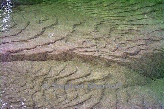 river bottom 1 graphic